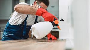 Best Residential Pest Control  in Columbus, WI